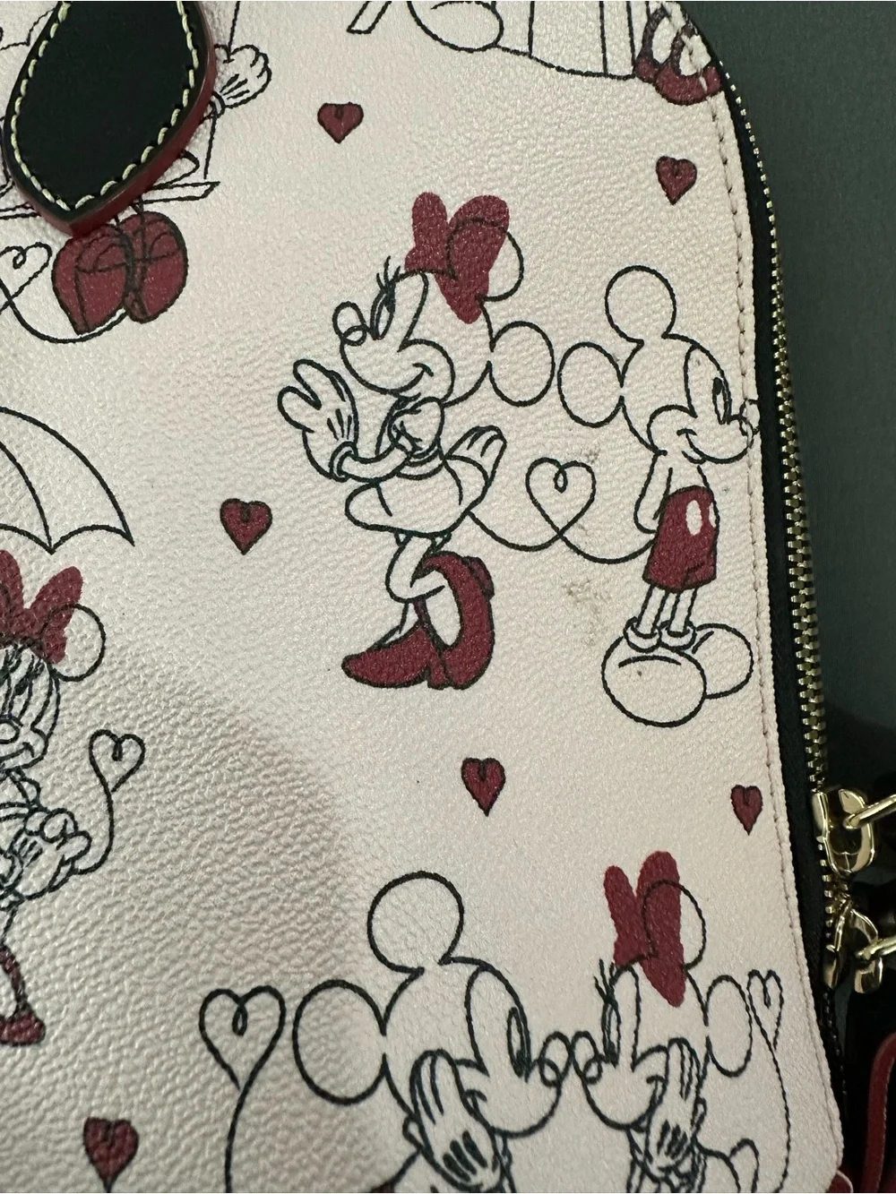 Dooney & Bourke charming dome